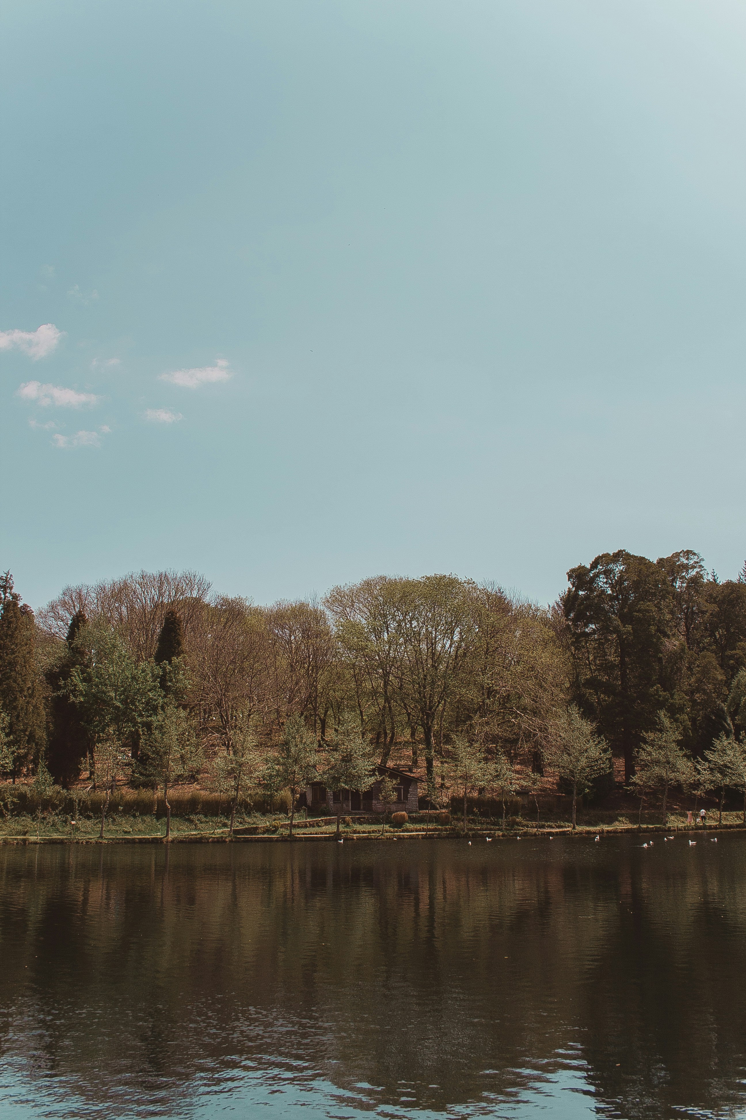 Photo by 3tnik