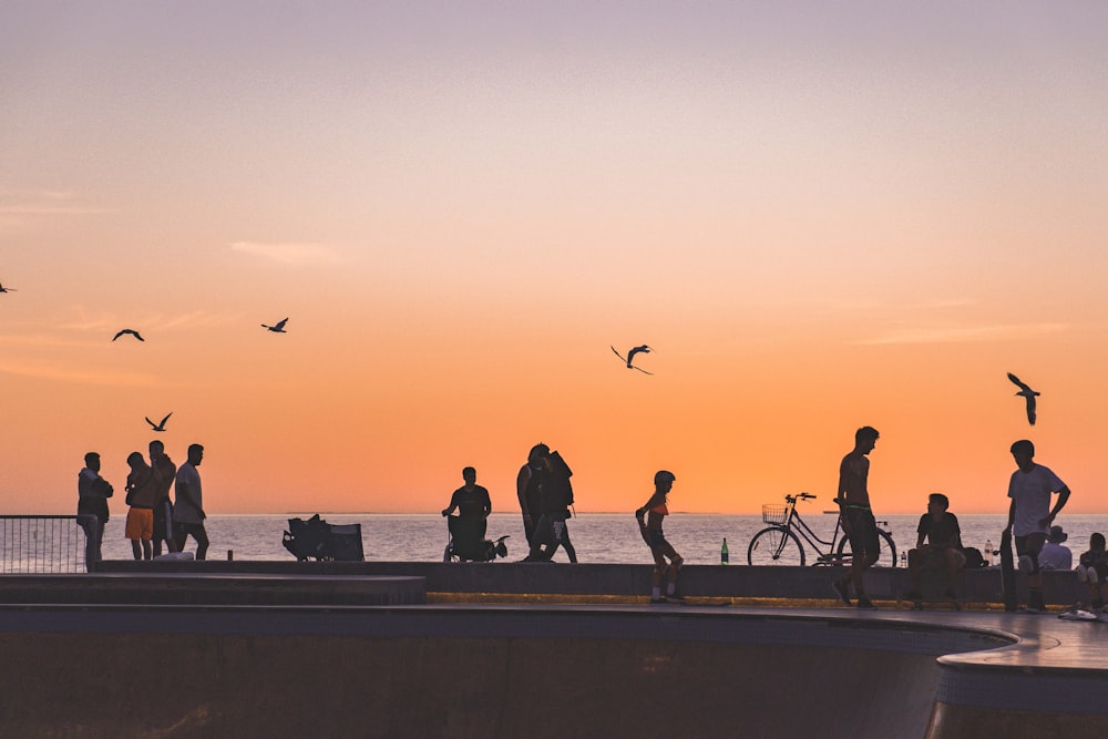 skateboarders in park near seashroe