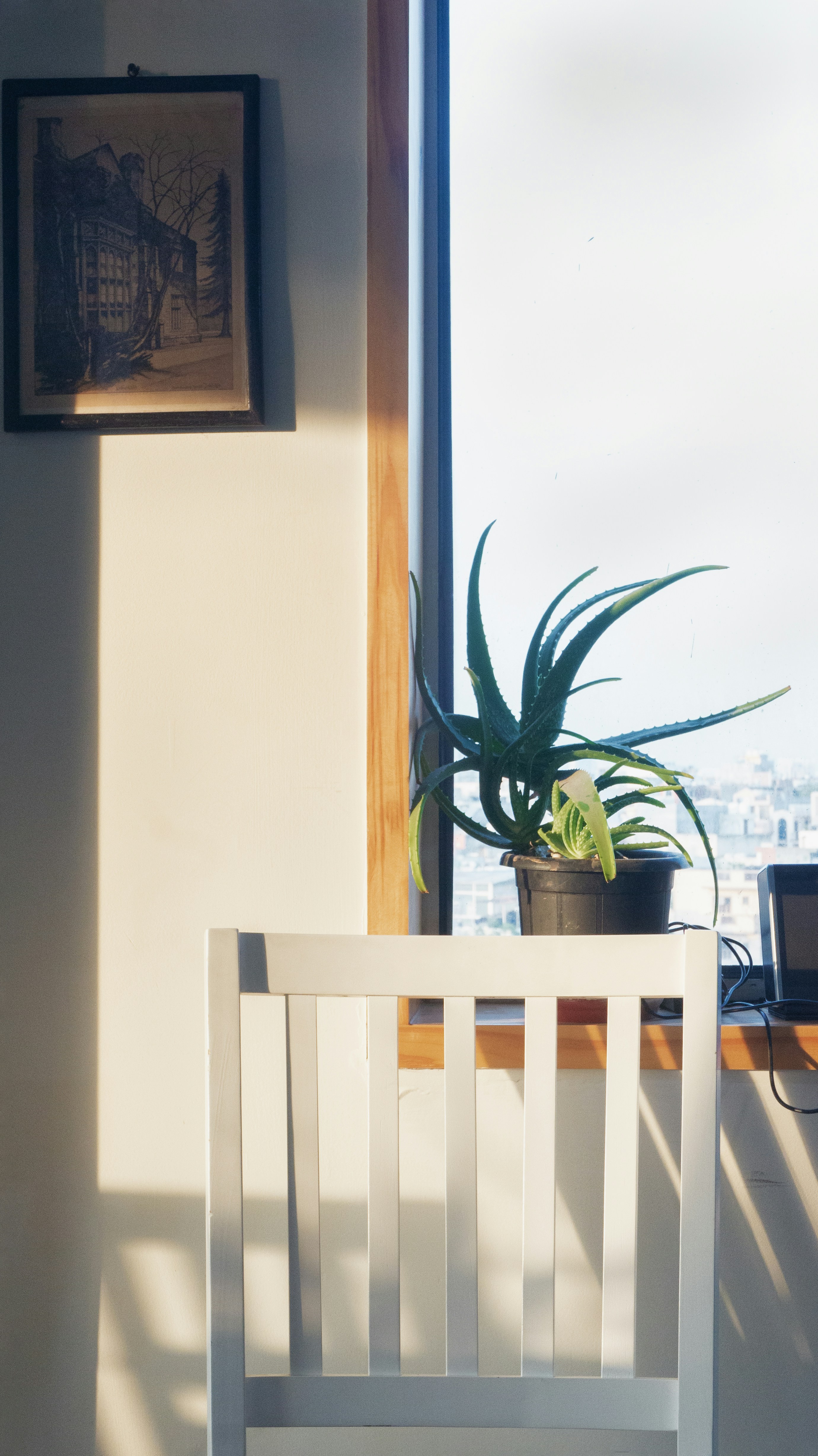 Photo by vaibhawkumar