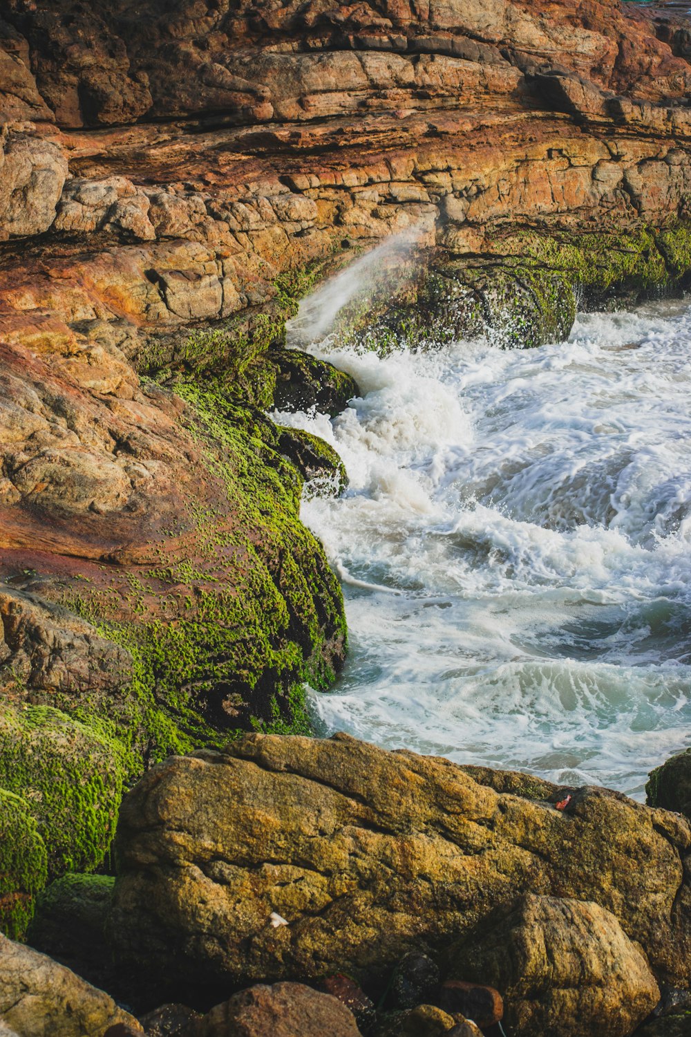 river in forest