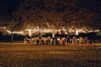 people under trees with string lights
