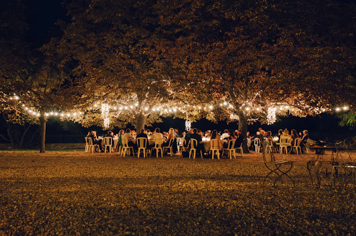 Convidados sob árvores decoradas com luzes