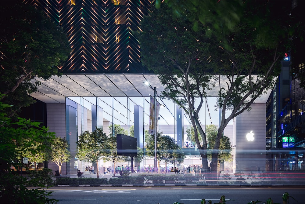 green-leafed trees beside building during daytime