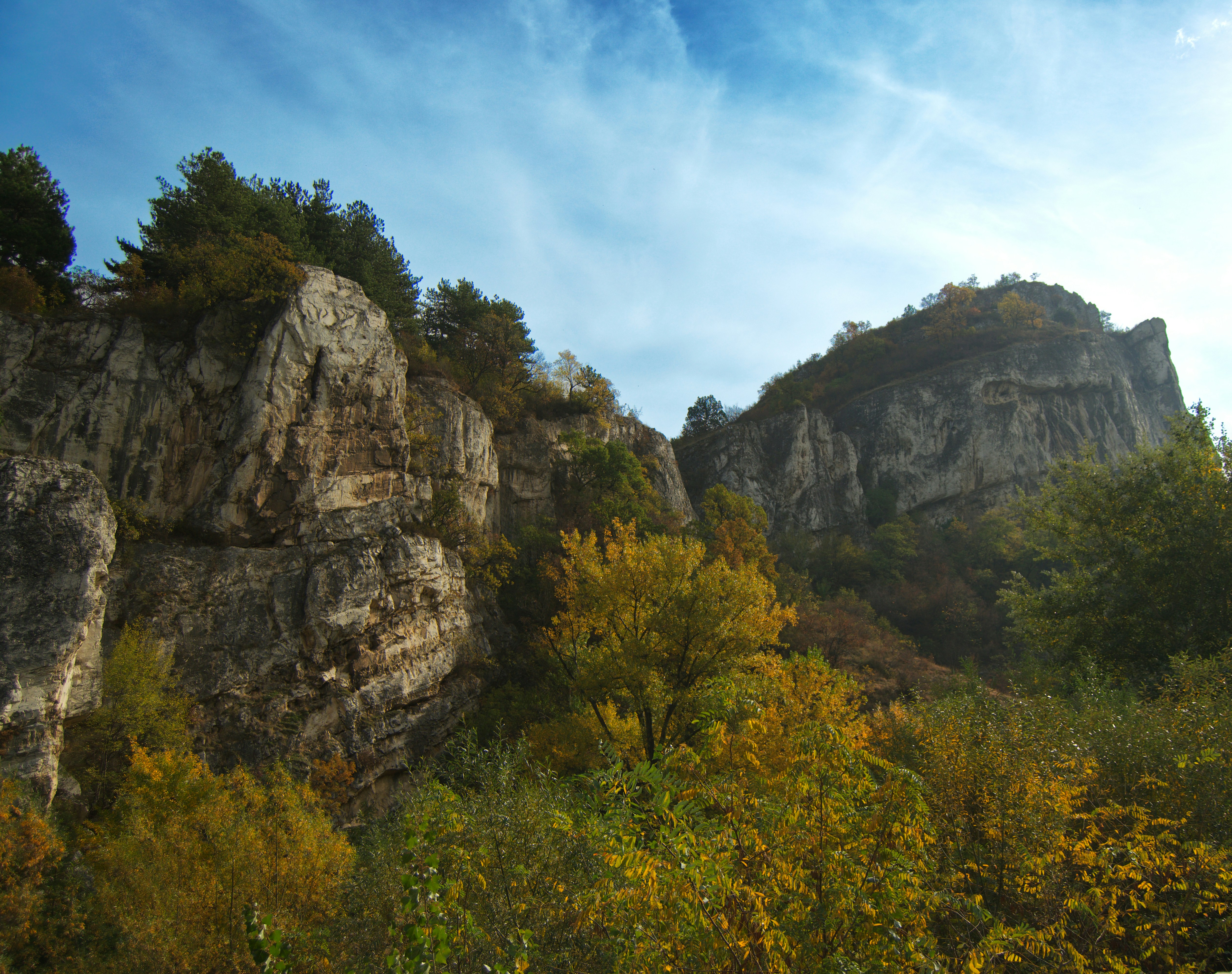 Photo by denislavppv