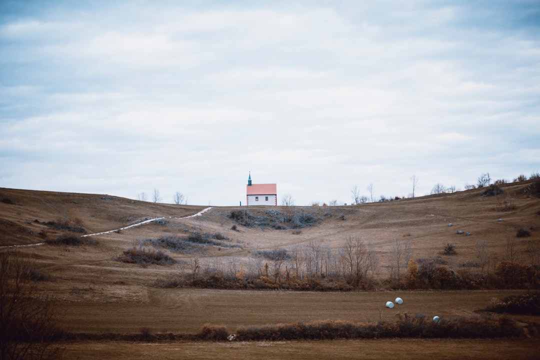 white and brown house on hill