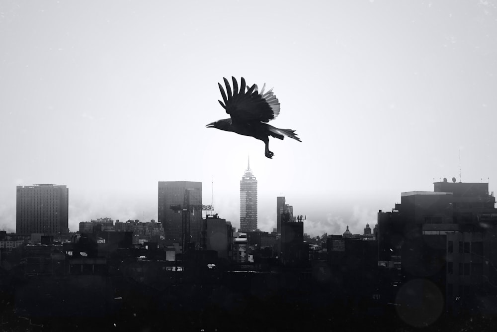 a black and white photo of a bird flying over a city