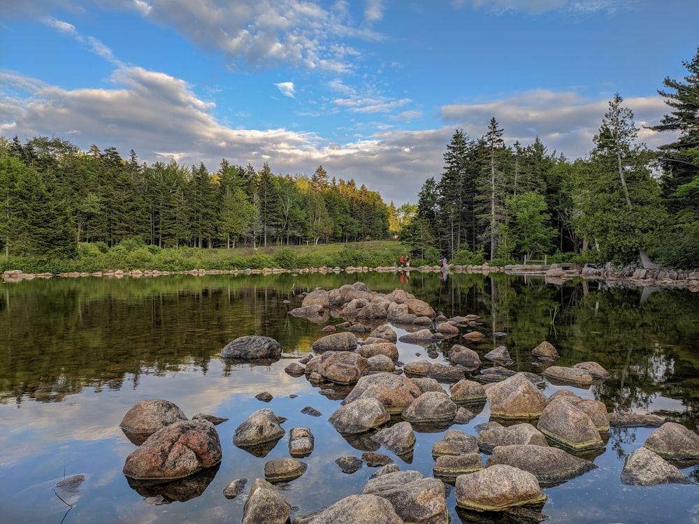 a body of water surrounded by rocks and trees