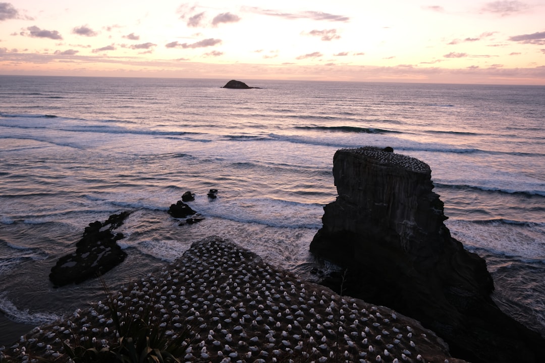 Shore photo spot Auckland Te Arai