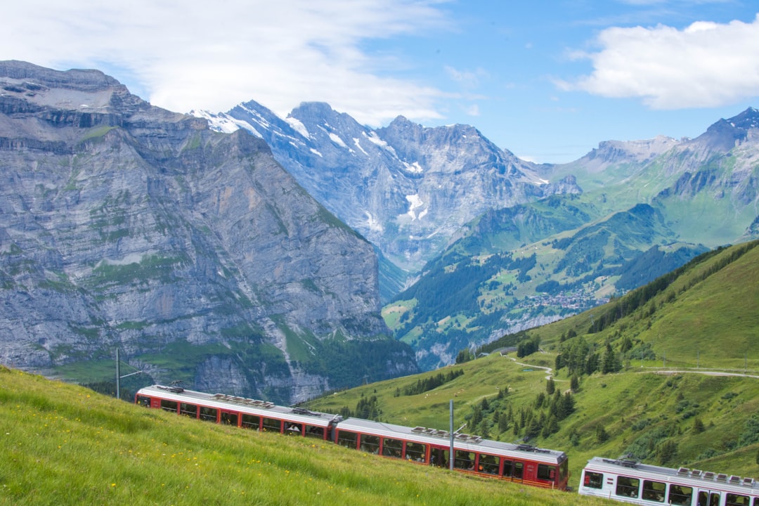 red and white train, Swiss landscape and train