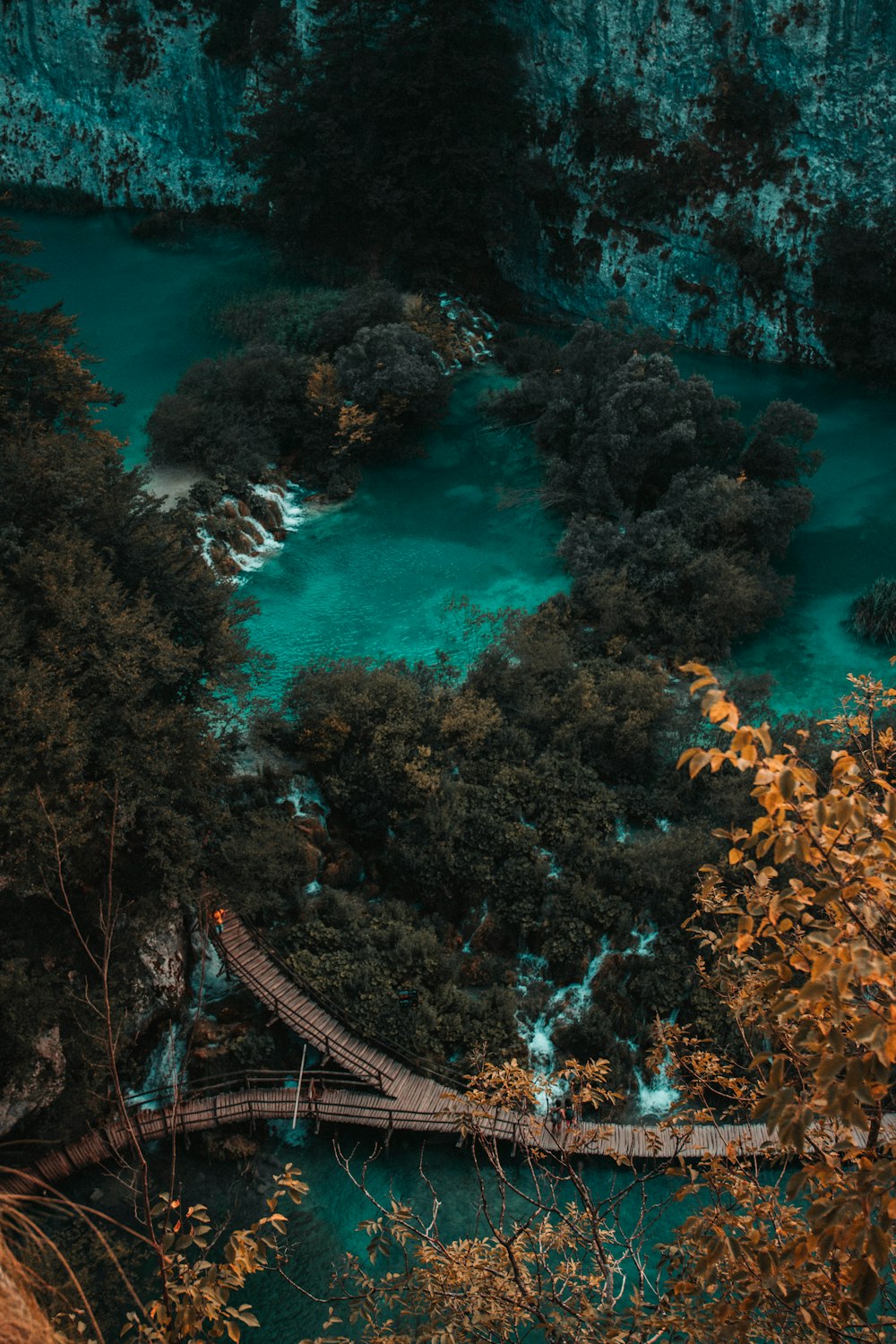 green trees near wooden bridge during daytime