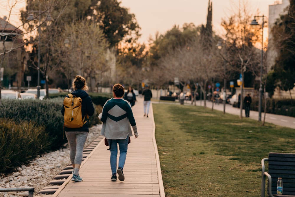 people walking near trees