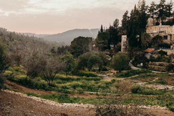 A view of a hillside with trees and buildings in the distance — Jerusalem, Israel