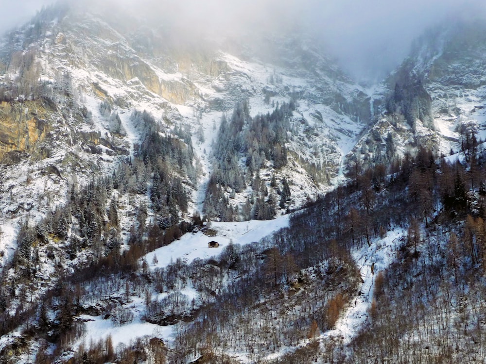 mountain ranges covered with snow