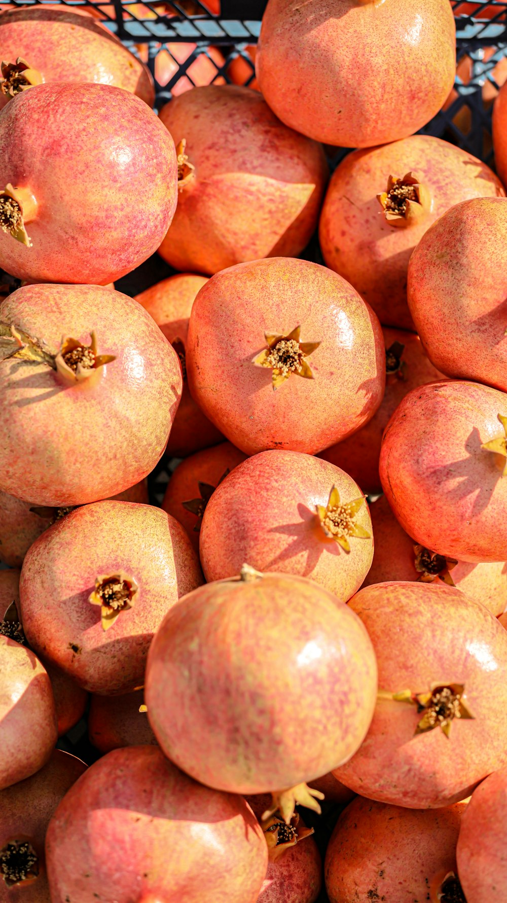 bunch of pomegranates