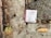 A lottery ticket is lying on a textured concrete surface beside fallen leaves, suggesting it is outdoors. The ground is a mix of dark, wet patches and dry, cracked cement with scattered debris around the ticket.