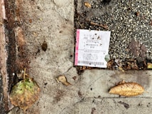 A lottery ticket is lying on a textured concrete surface beside fallen leaves, suggesting it is outdoors. The ground is a mix of dark, wet patches and dry, cracked cement with scattered debris around the ticket.