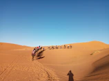 A camel caravan silhouetted against the towering Erg Chebbi dunes under a star-studded night sky.