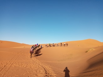 A caravan of camels guided by people traverses across expansive sand dunes under a clear blue sky. The golden hue of the desert landscape is highlighted by the shadow of a solitary individual on the right.