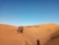 A caravan of camels guided by people traverses across expansive sand dunes under a clear blue sky. The golden hue of the desert landscape is highlighted by the shadow of a solitary individual on the right.