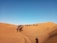 A caravan of camels guided by people traverses across expansive sand dunes under a clear blue sky. The golden hue of the desert landscape is highlighted by the shadow of a solitary individual on the right.