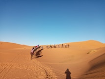 A caravan of camels guided by people traverses across expansive sand dunes under a clear blue sky. The golden hue of the desert landscape is highlighted by the shadow of a solitary individual on the right.