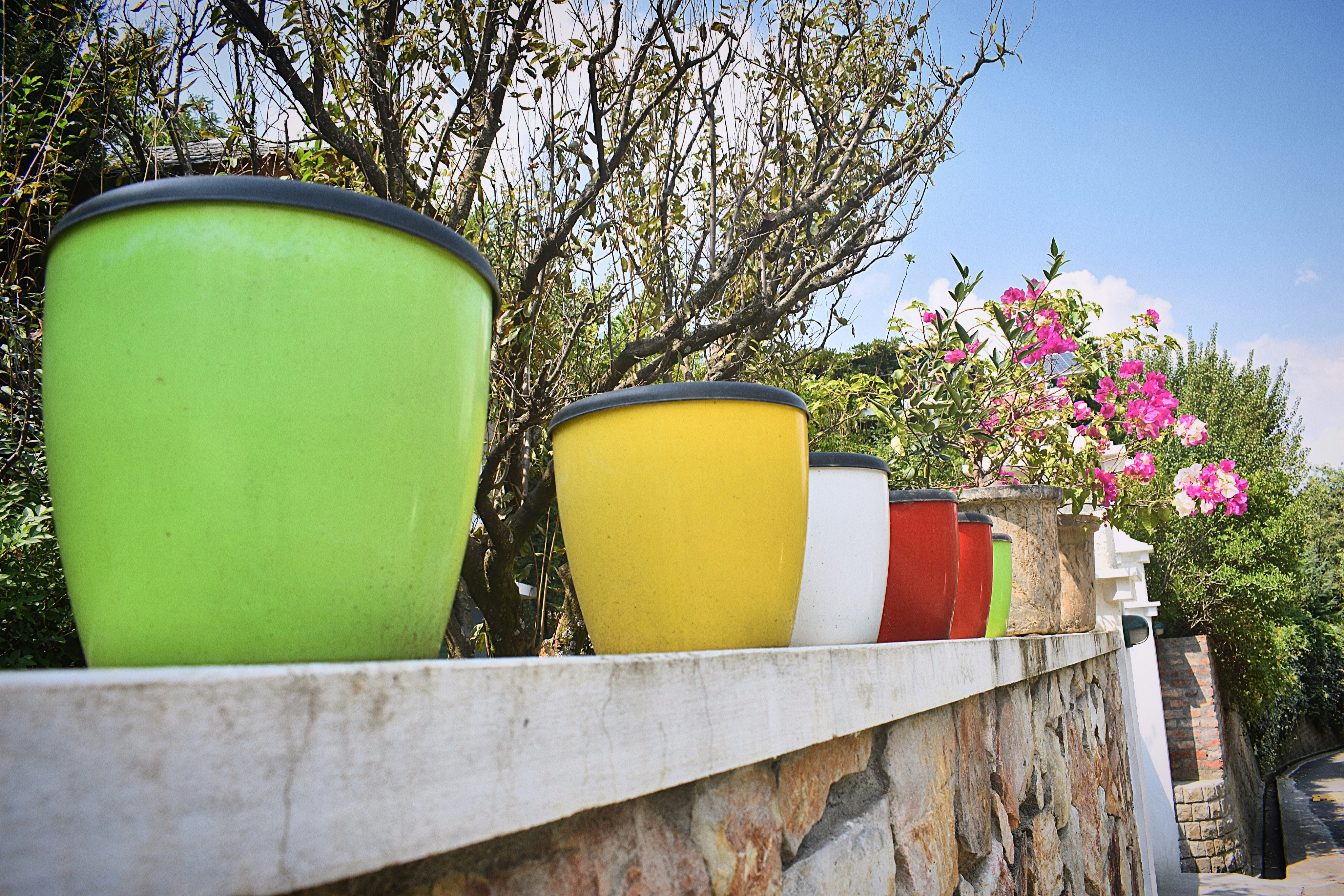 Compact cylindrical succulent miniature plant pots in various colors and materials