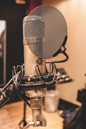 gray condenser microphone