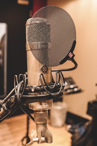 gray condenser microphone