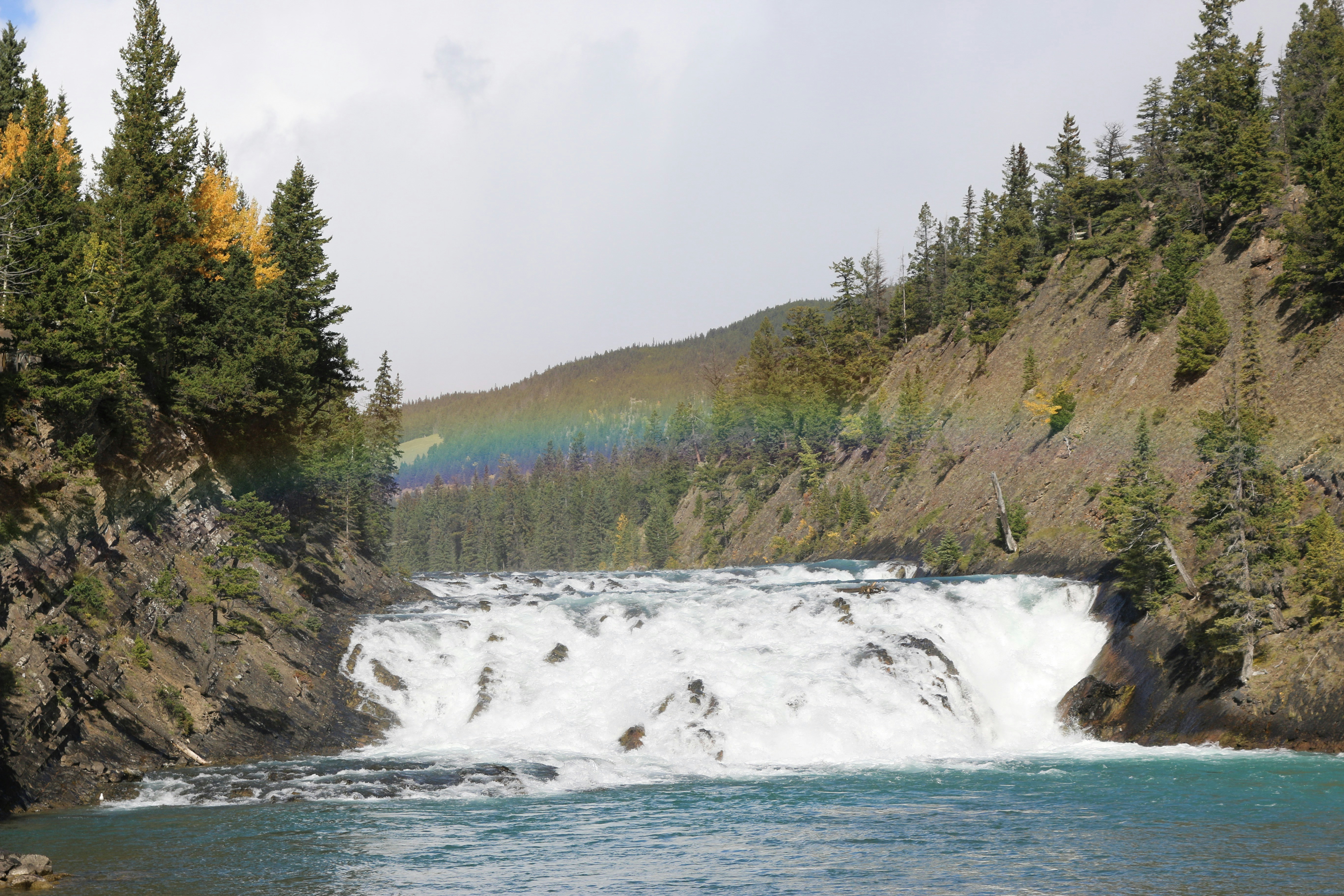 body of water and trees