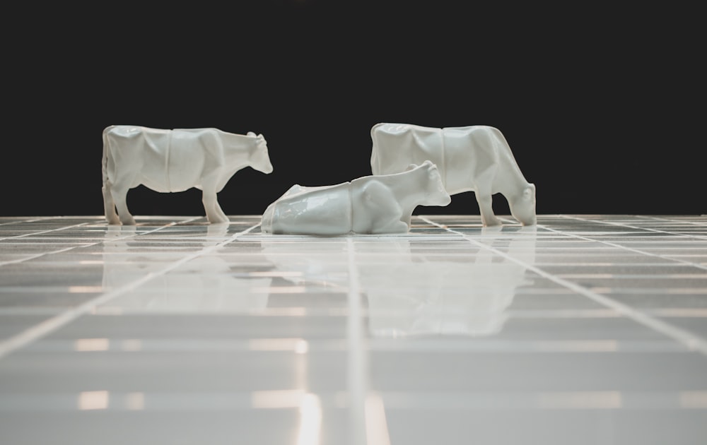 white cattle figurines on white surface