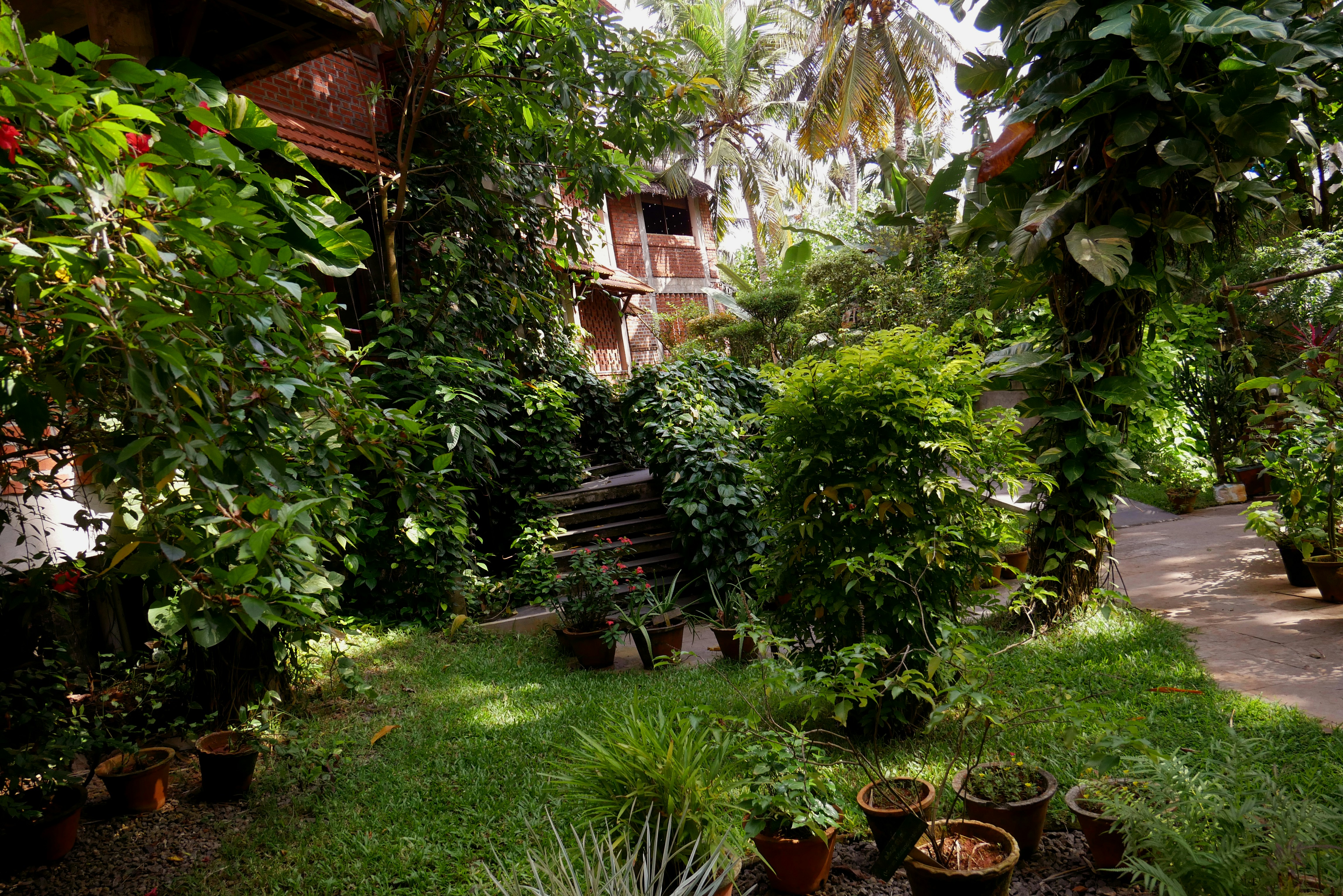 Photo by rajeshkavinpally