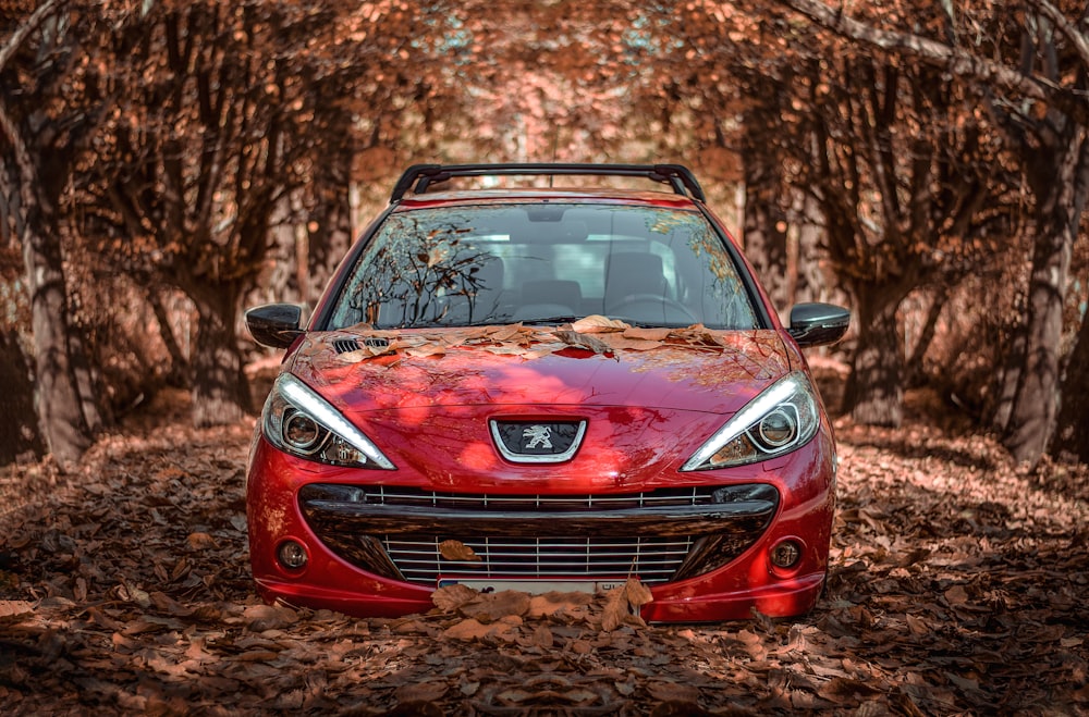 red Peugeot vehicle during daytime