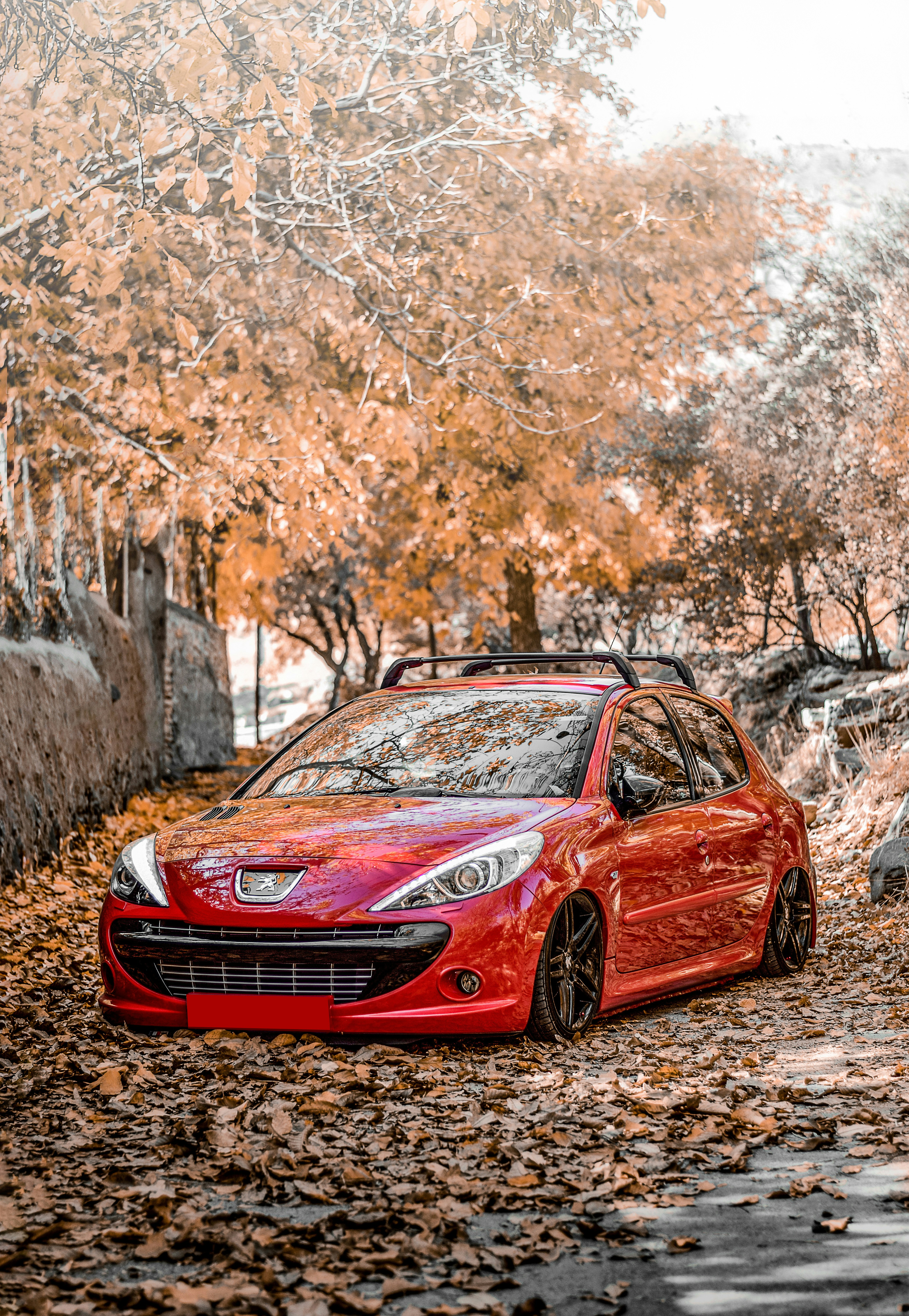 Autumn with Car 😍