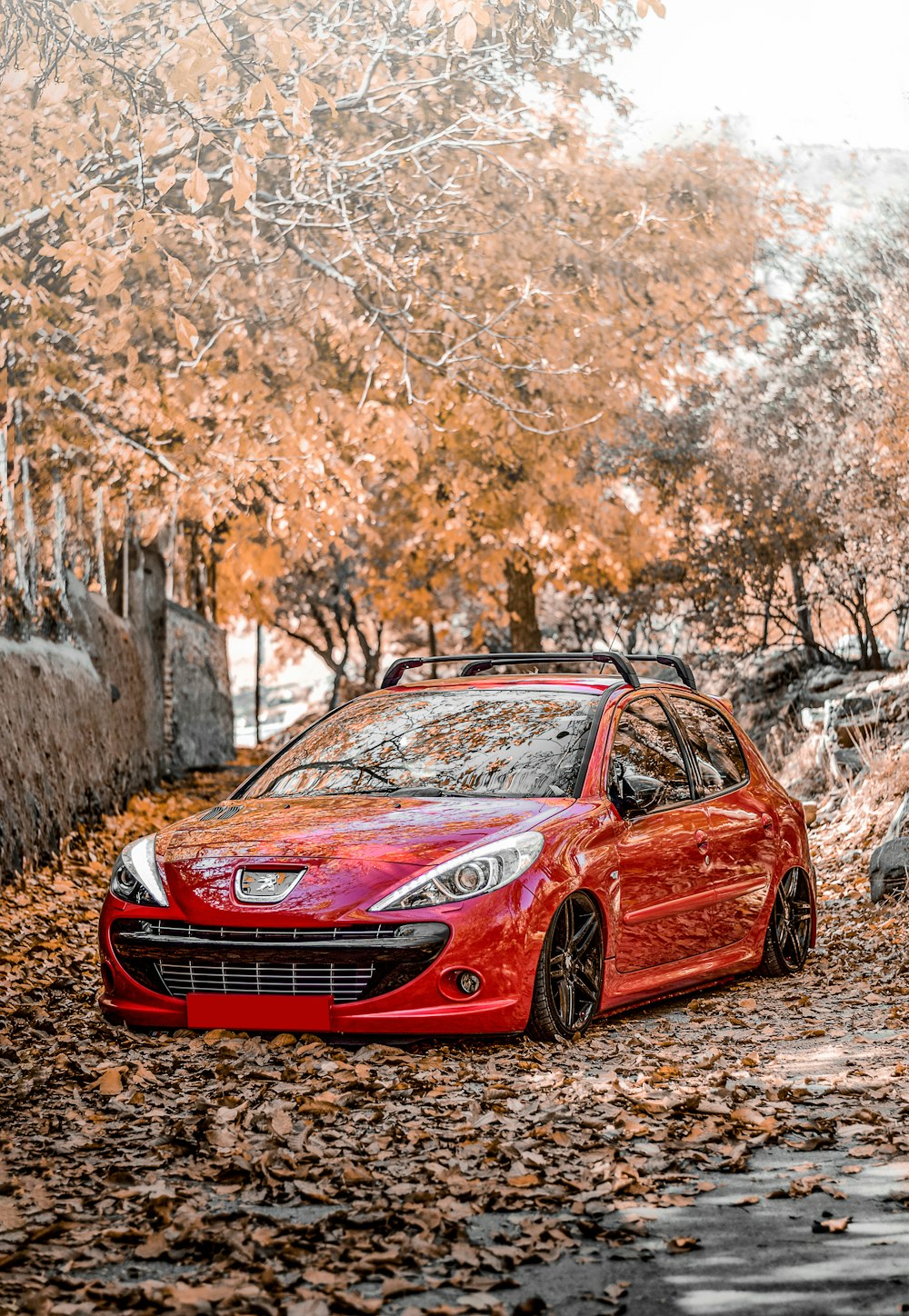 red Peugeot sedan beside tree during daytime