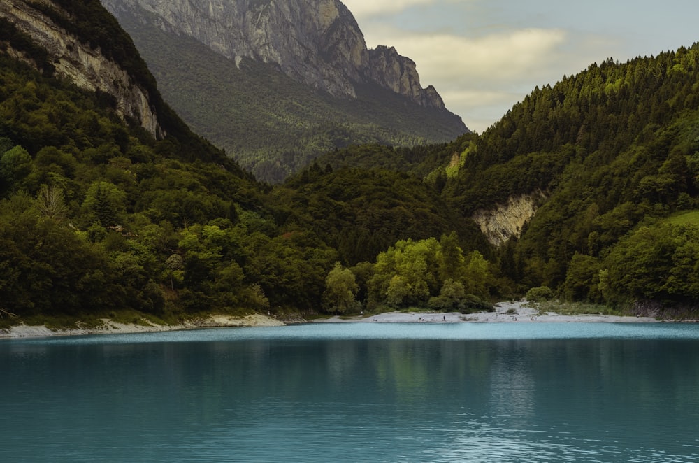 plan d’eau bleu pendant la journée