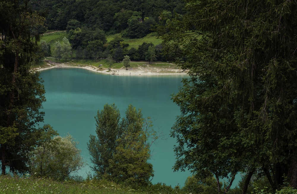 specchio d'acqua blu durante il giorno