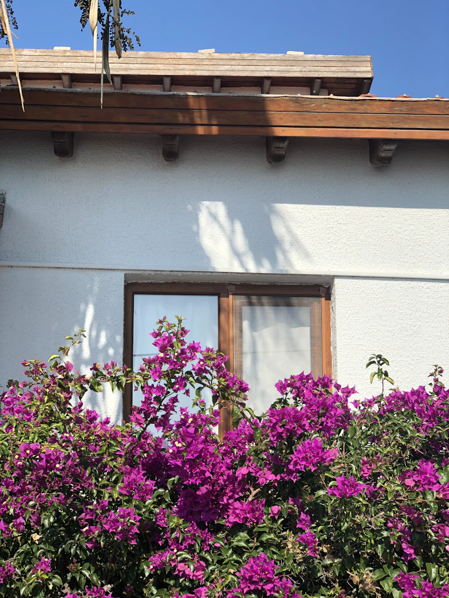 Bodrum Akdeniz mimari villa - profesyonel ilaçlama