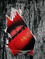 Close-up of a vibrant poster being carefully inspected by a technician.