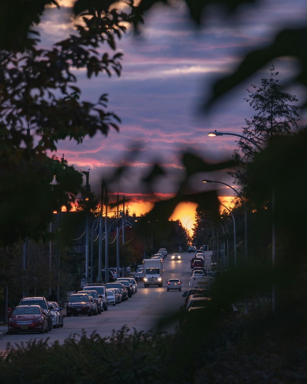 estrada atrás de arbustos durante a hora de ouro