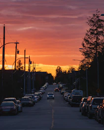 vehicles crossing on two-lane road between trees and street lights