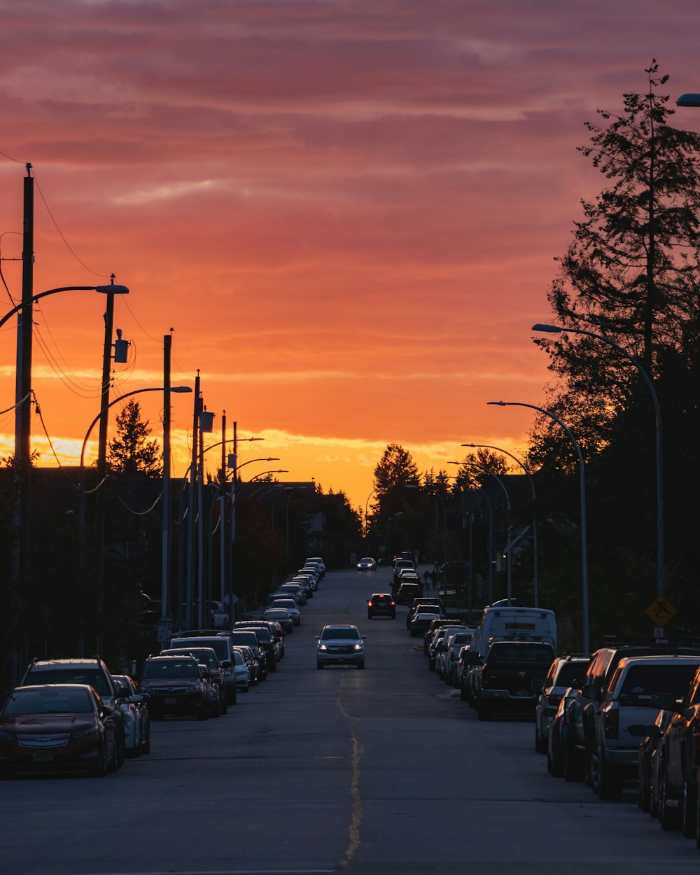 vehicles crossing on two-lane road between trees and street lights