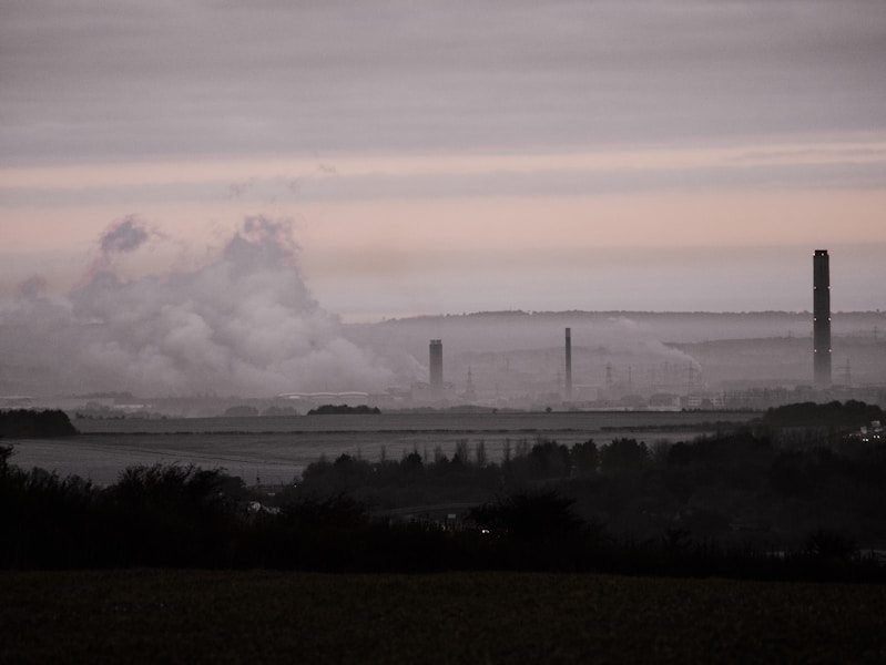 Comment la qualité de l'air façonne notre santé