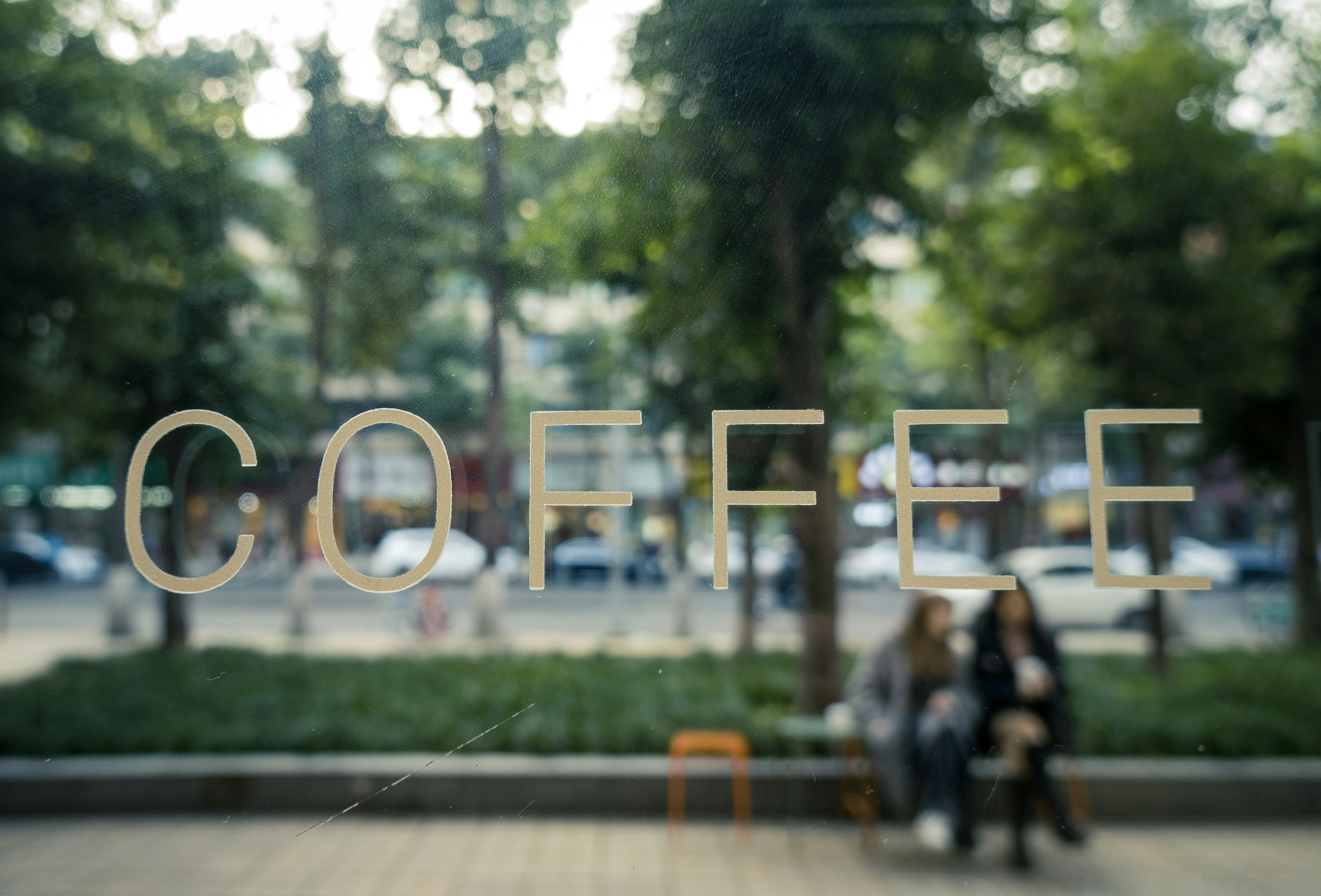 two person sitting on bench