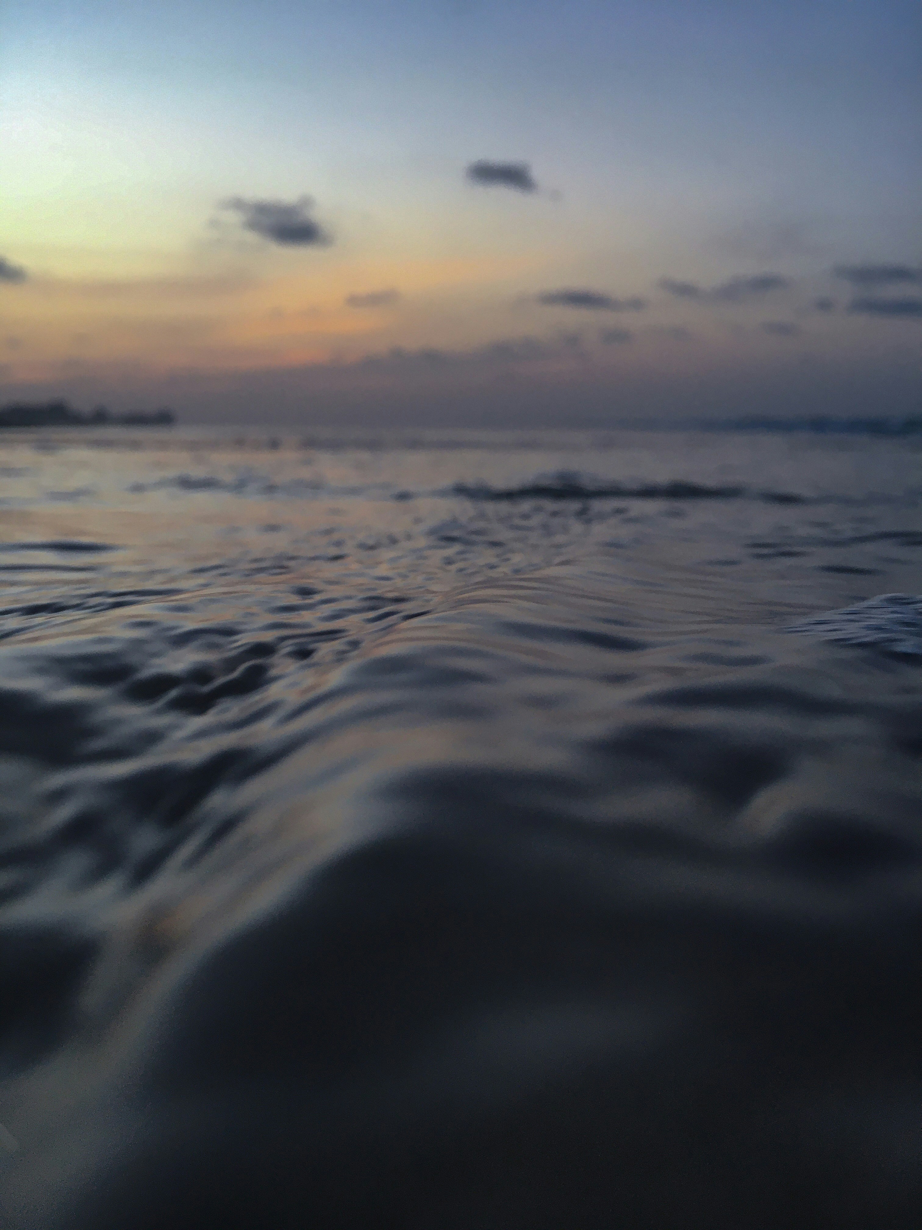 Photo by gabrielamrl