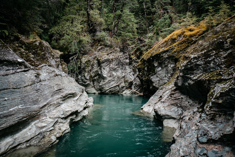 body of water during daytime