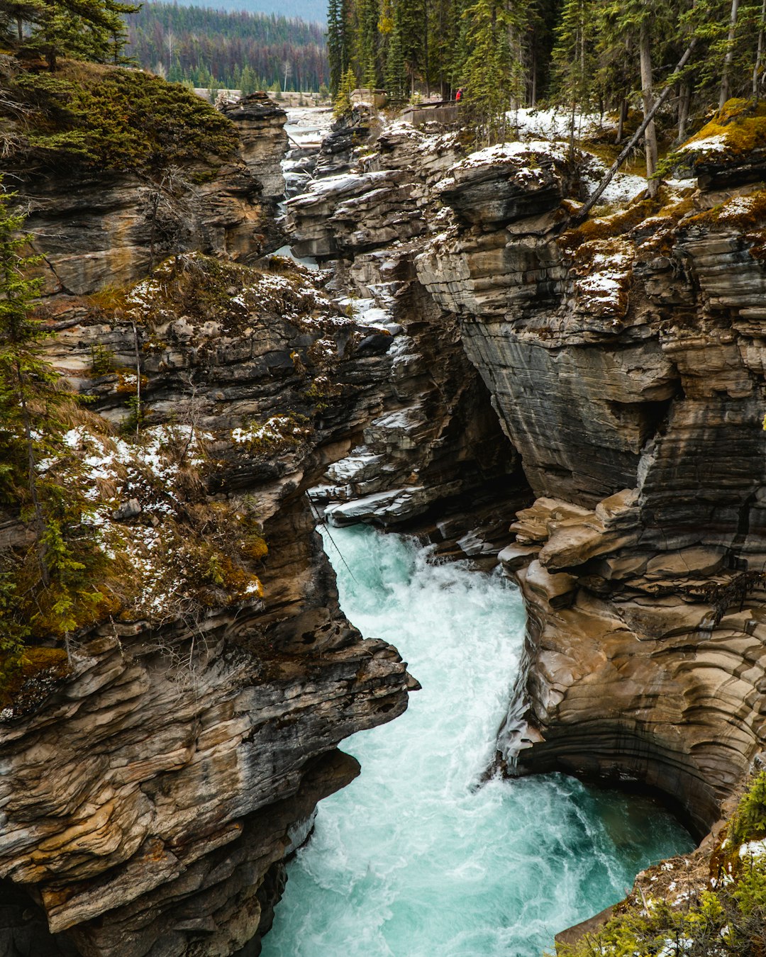 Waterfall photo spot Jasper Sunwapta Falls