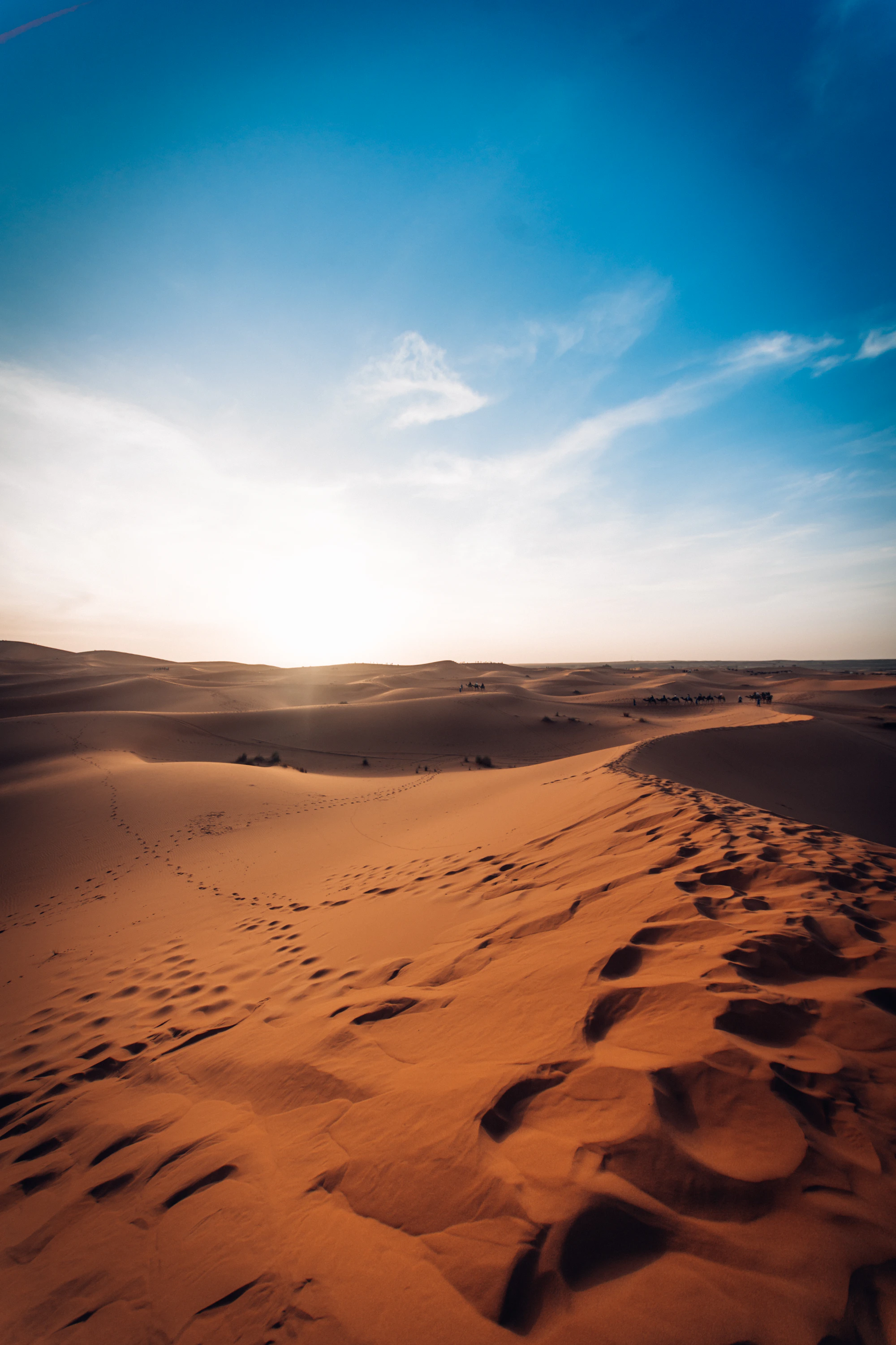 The road across the Sahara
