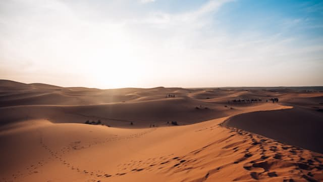 Sahara