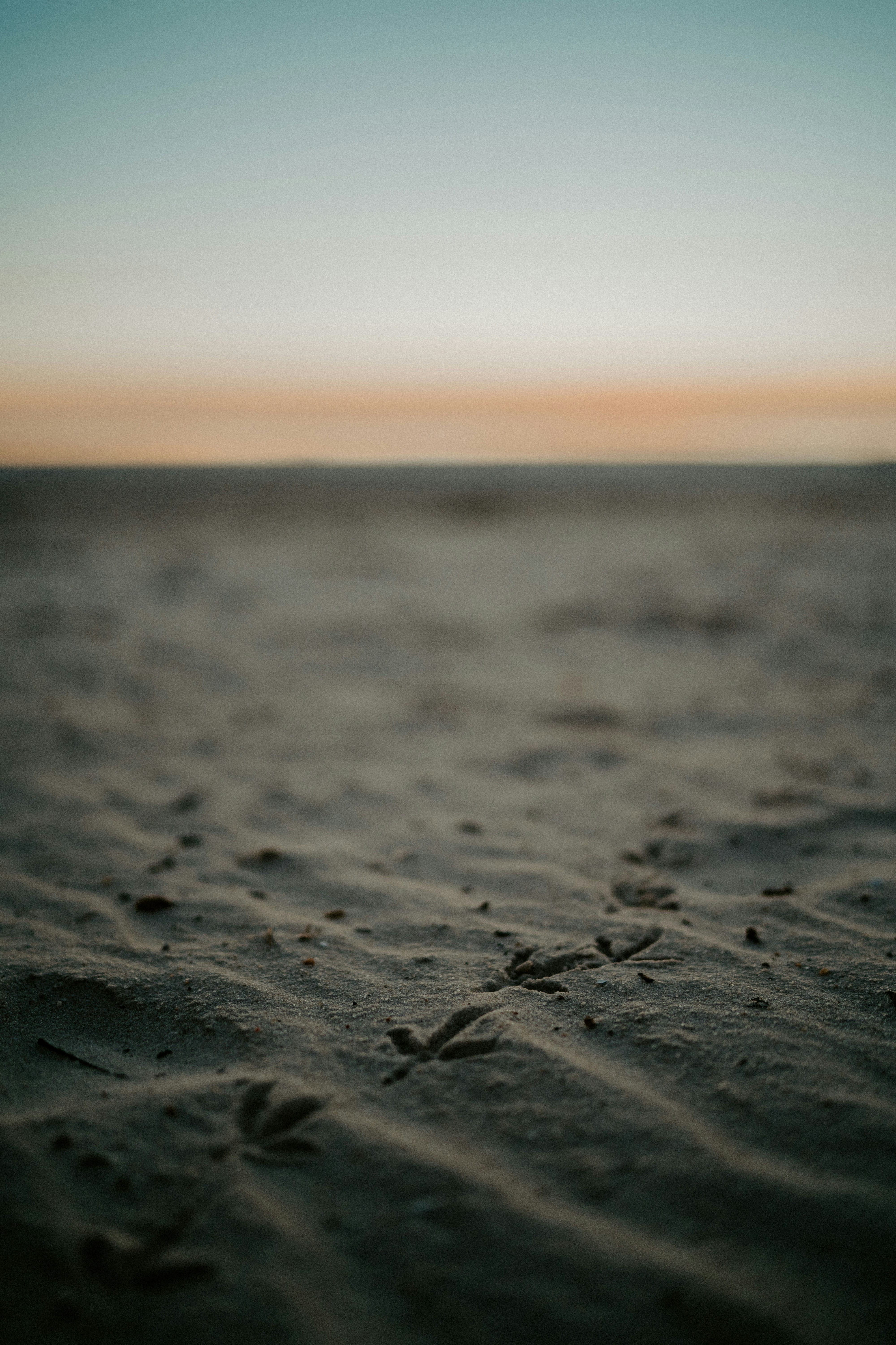 Photo by brittaniburns