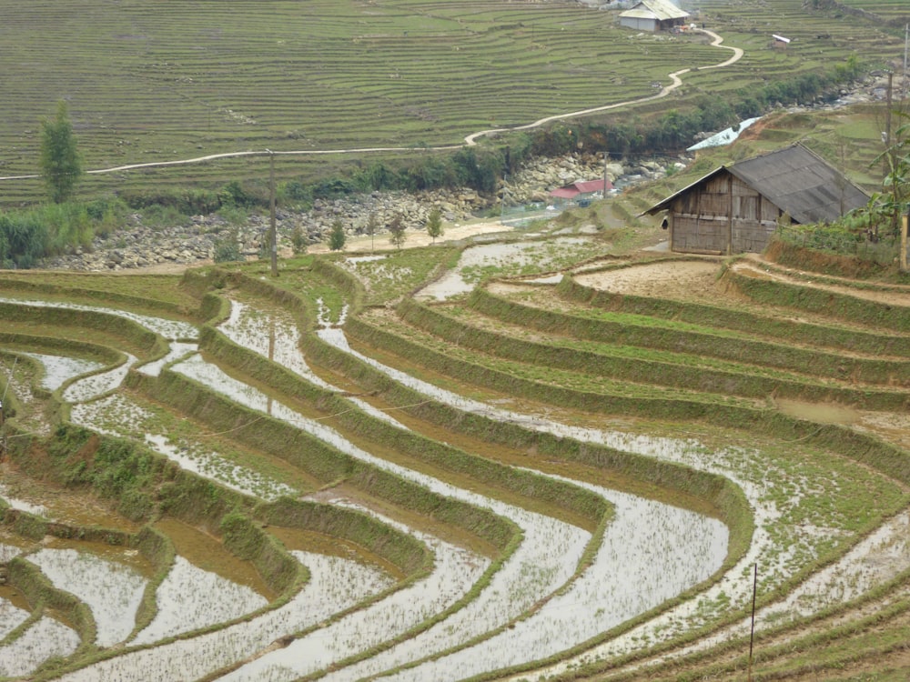 wooden house beside soil terraces